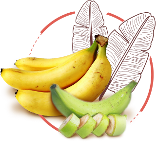 Banana Banana