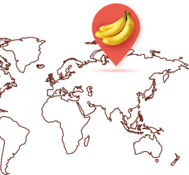 Banana Banana